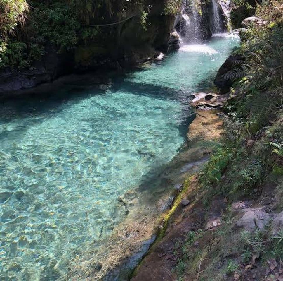 Lugar Reserva Ecologica Rio de Pancho Poza