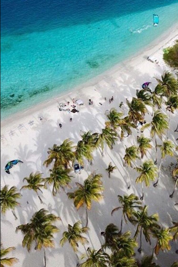 Restaurantes Playa Cayo Sombrero