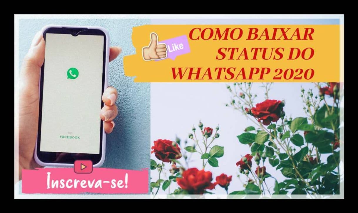 Moda Como baixar Status do seu Whatsapp