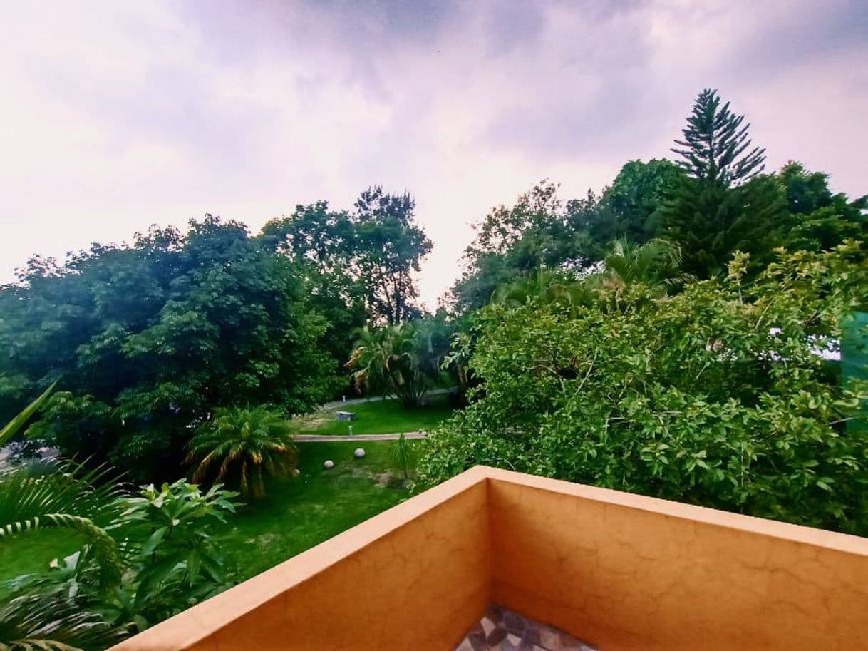 Lugar El Jardín De En Medio