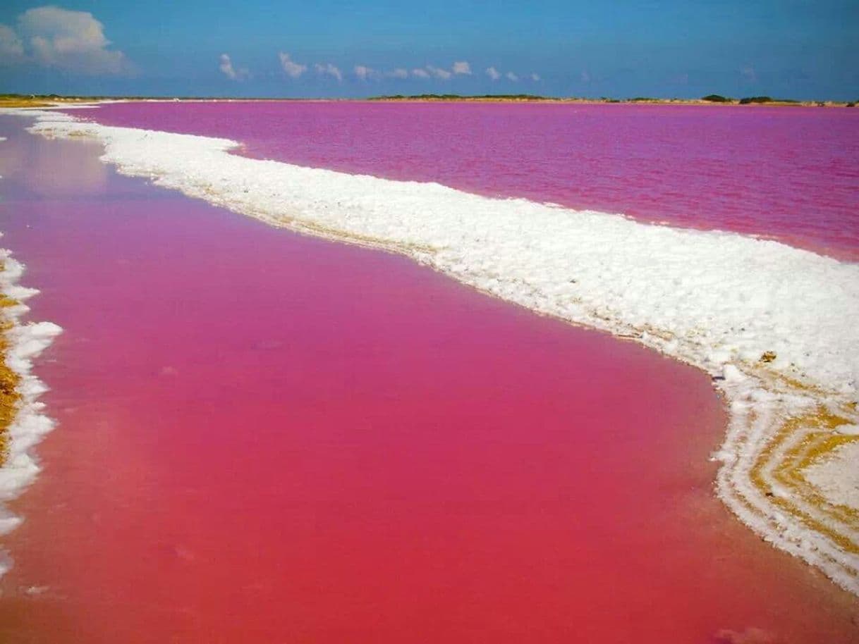 Place Salinas de Las Cumaraguas