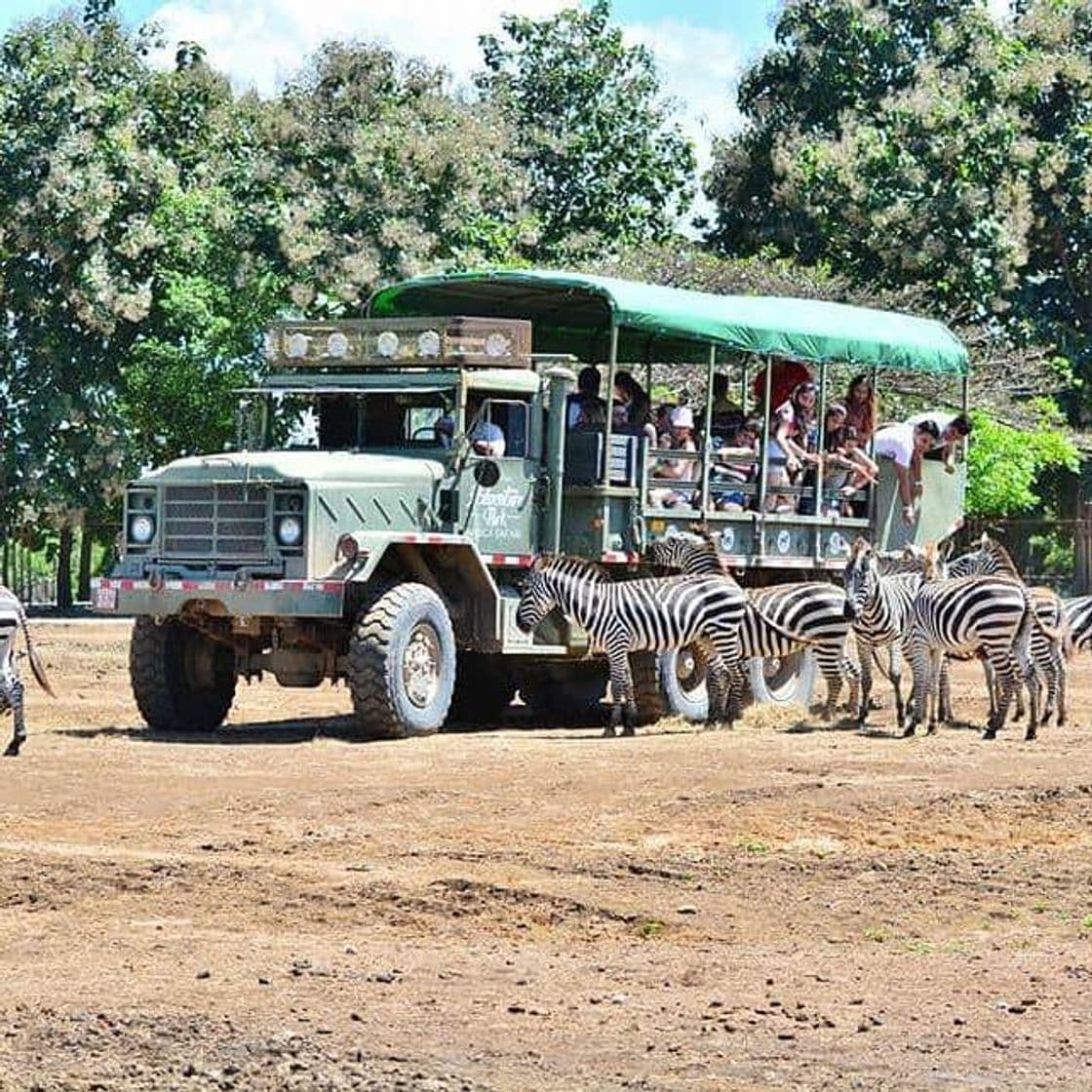 Place África Safari Costa Rica