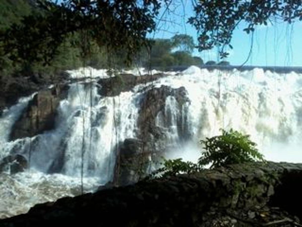 Lugar A el Parque la Llovizna