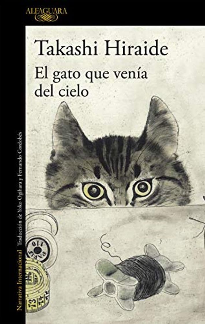 Book El gato que venía del cielo