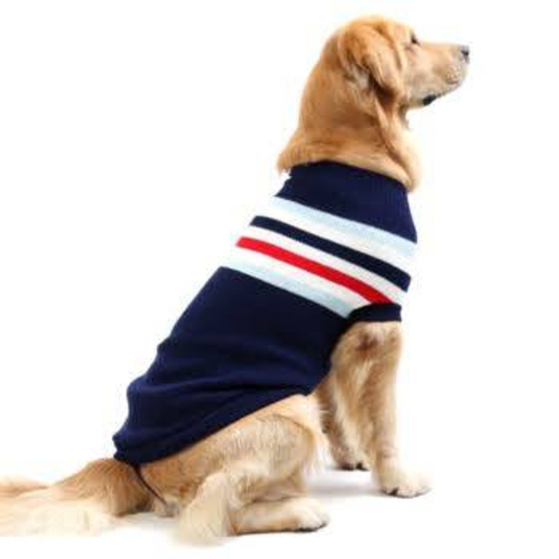 Fashion Ropa para 🐶🐾