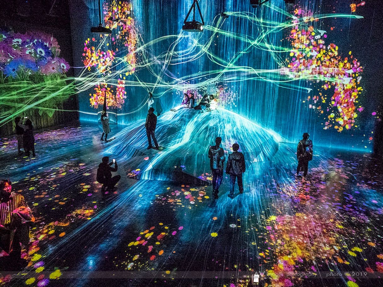 Lugar teamLab Borderless Tokyo: MORI Building DIGITAL ART MUSEUM