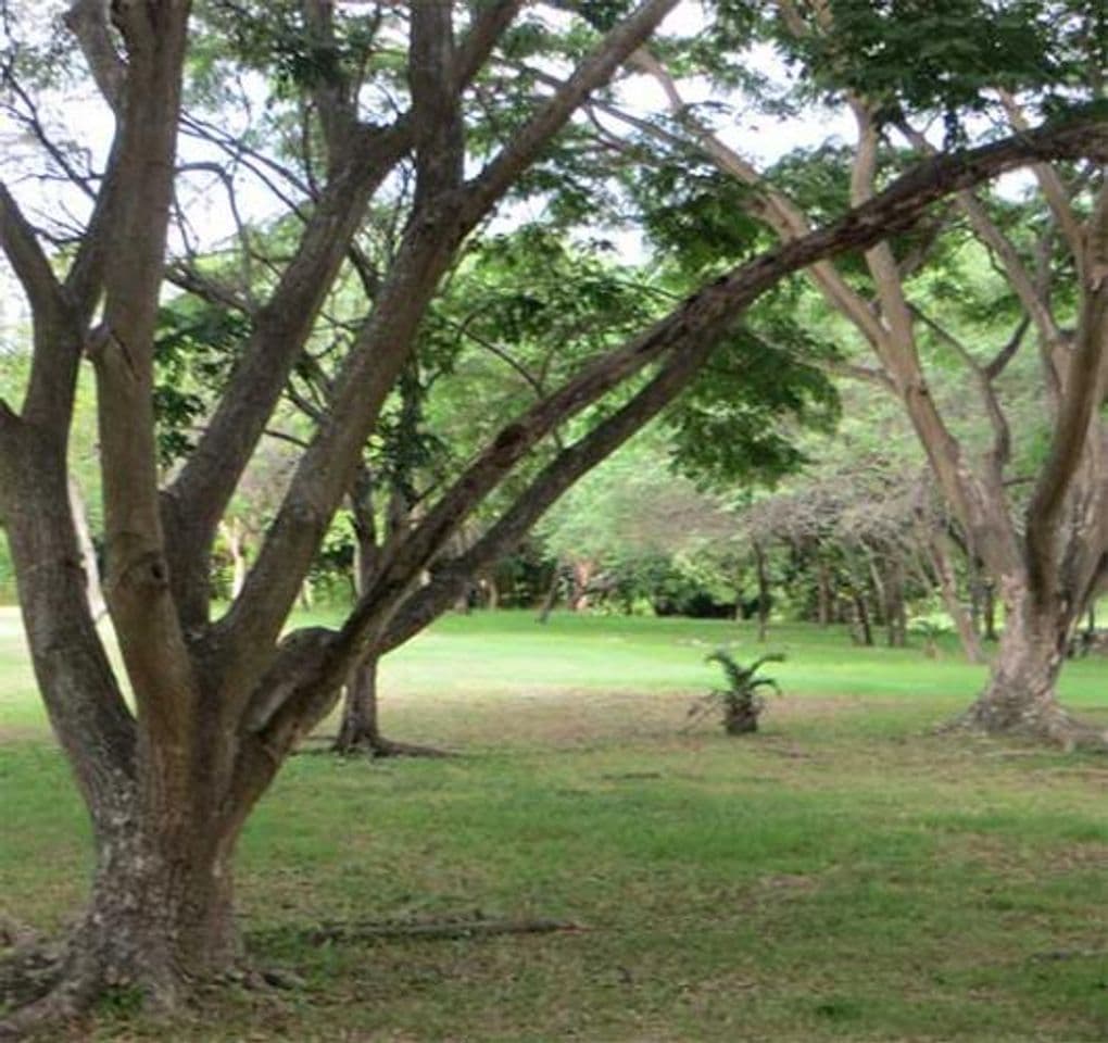 Lugar Parque Lago