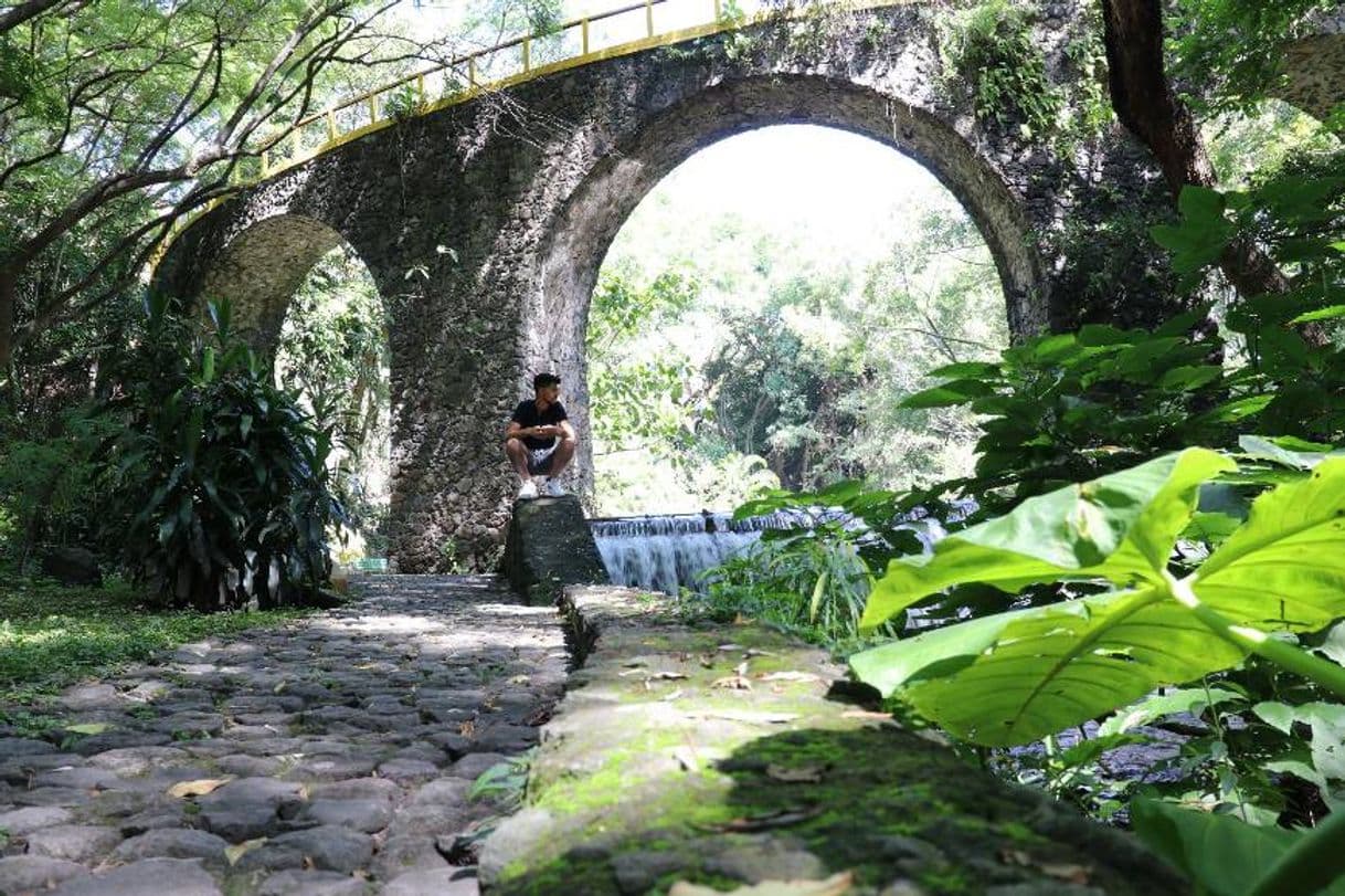 Lugar Parque Estatal Urbano Barranca de Chapultepec