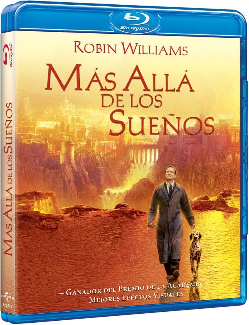 Película What Dreams May Come