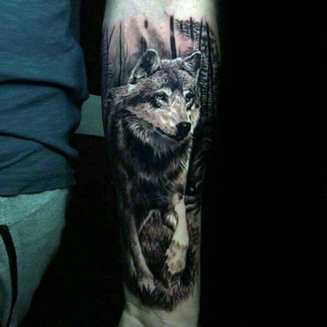 Fashion Tatto de Lobo