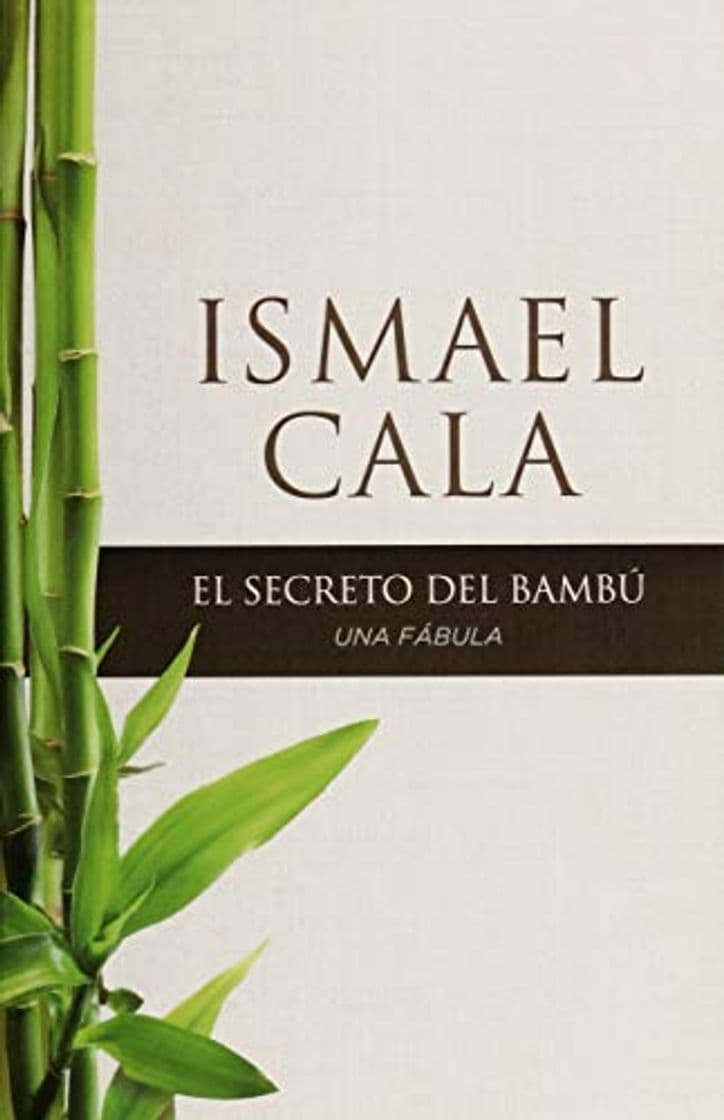 Book El secreto del Bambú