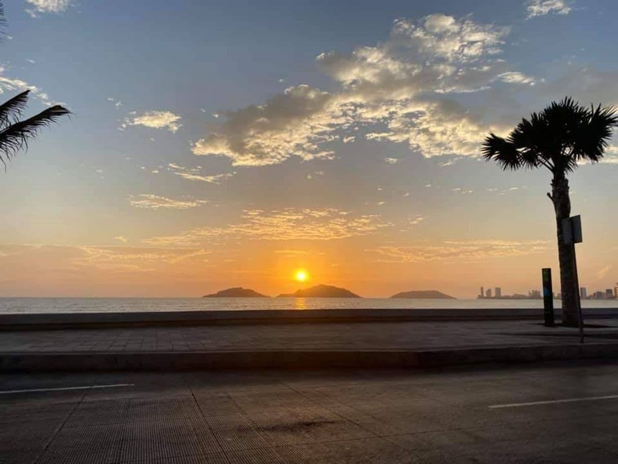 Place Olas altas Mazatlán