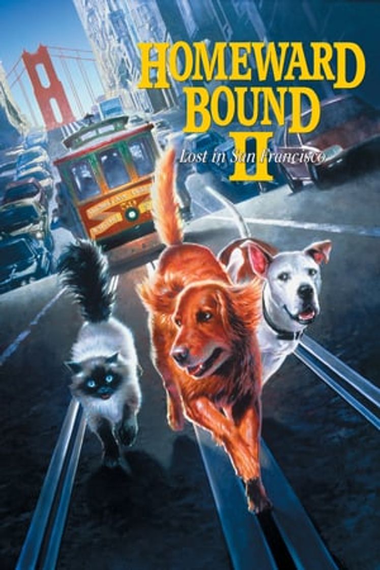 Película Homeward Bound II: Lost in San Francisco