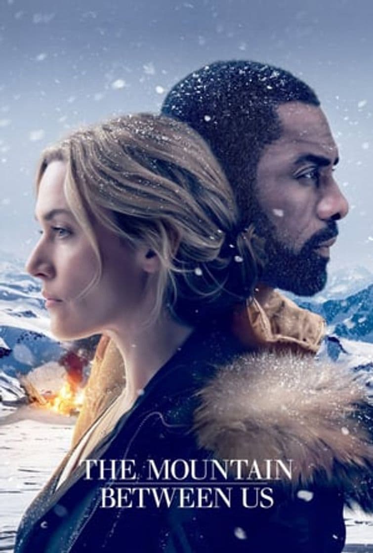 Película The Mountain Between Us