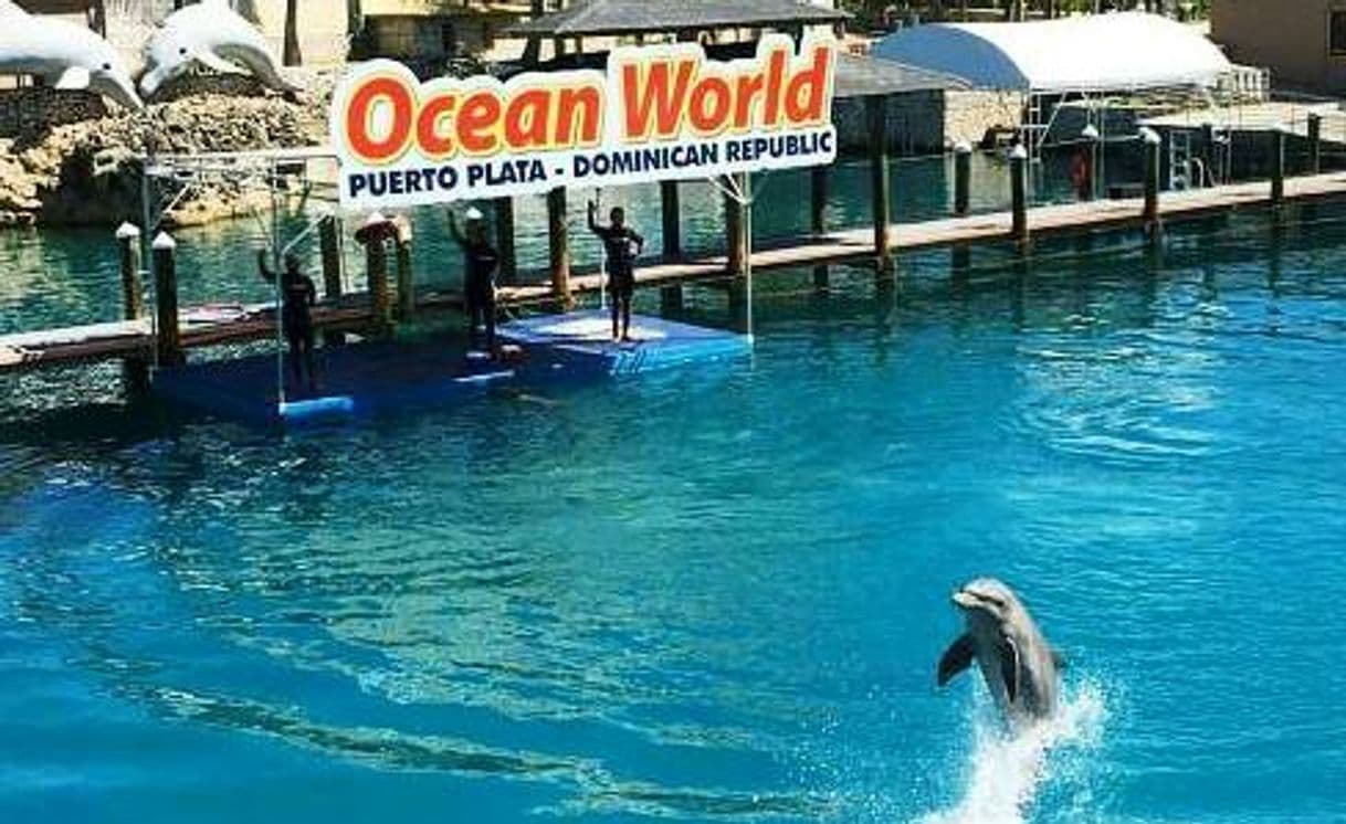 Place Ocean World Adventure Park, Puerto Plata