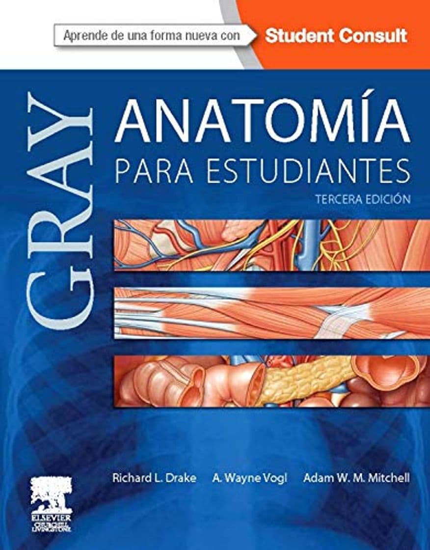 Libro Gray