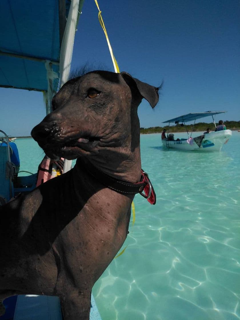 Lugar Laguna de Bacalar