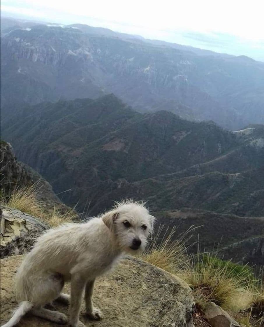 Place Divisadero Barrancas del Cobre.