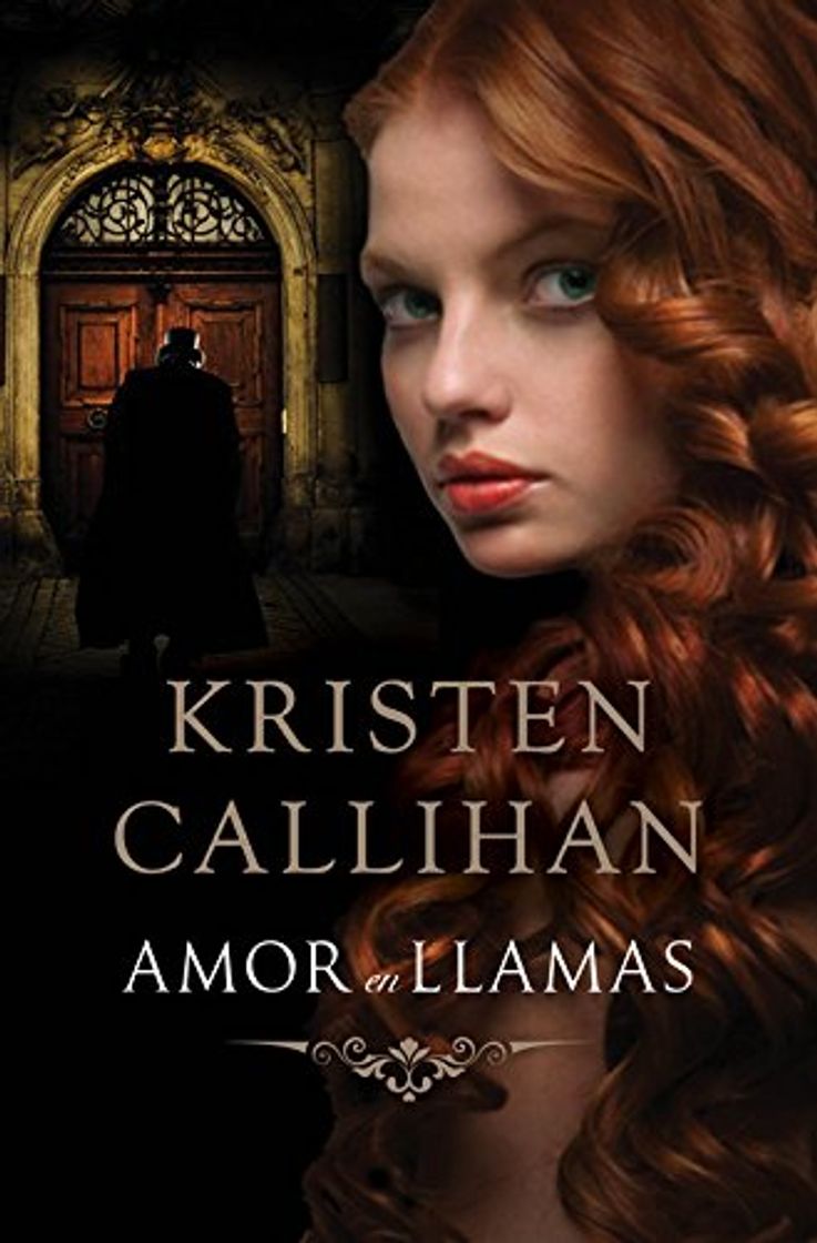 Book Amor en llamas