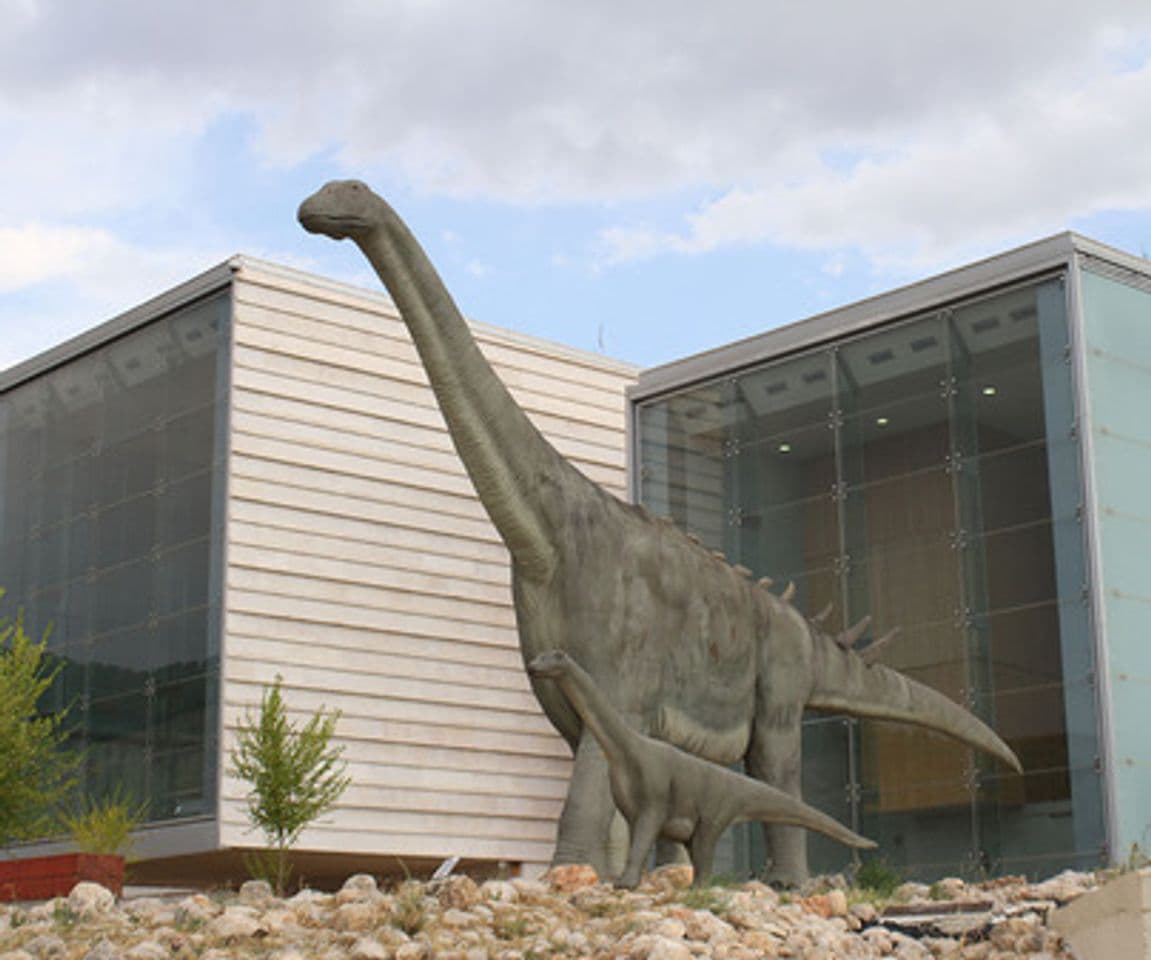 Place Museo Paleontológico de Castilla-La Mancha.Cuenca