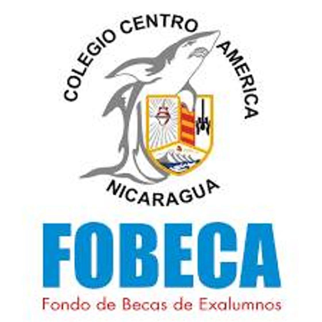 Moda FOBECA