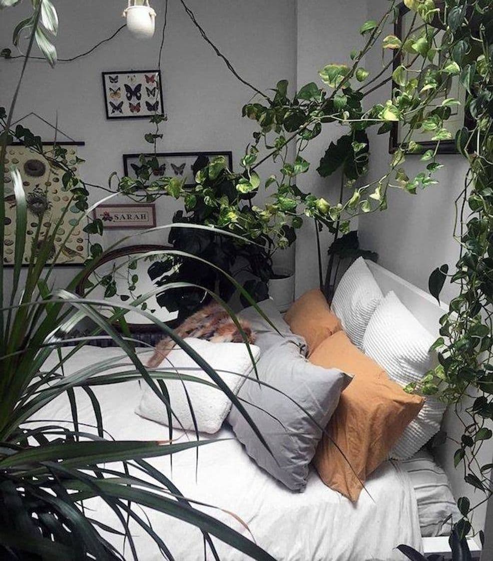 Moda Cuartos con plantas 