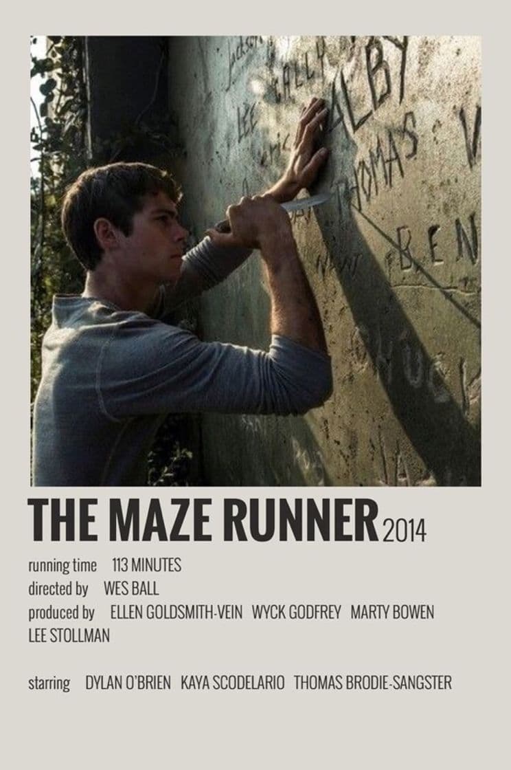 Movie The Maze Runner