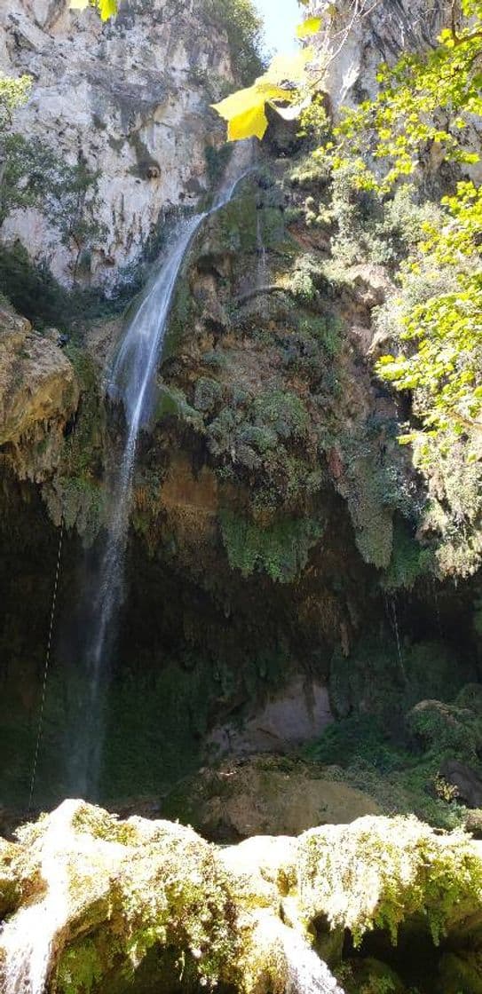 Lugar Cascada del Chipitín