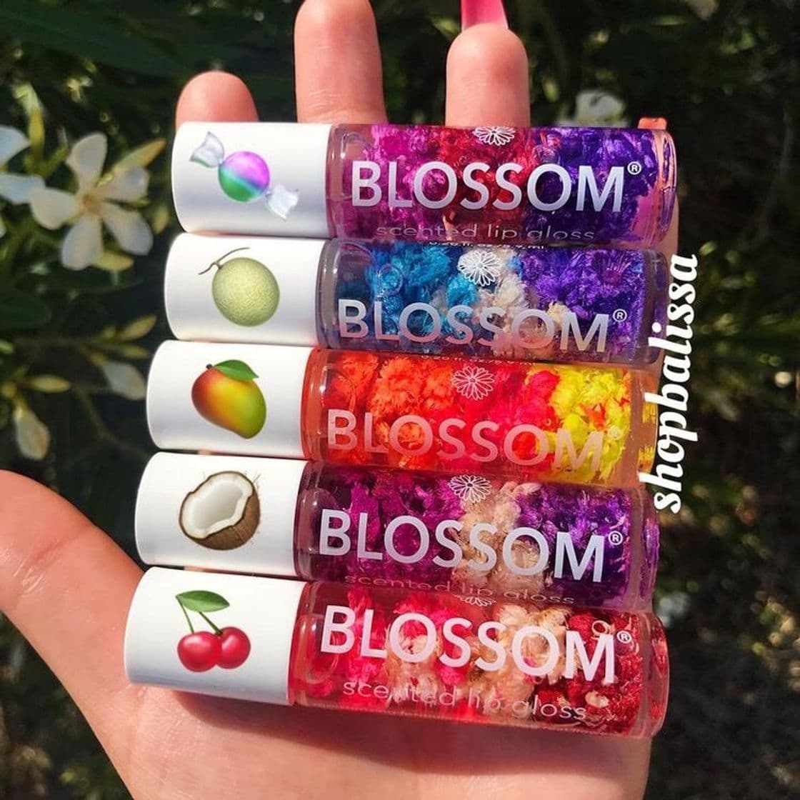 Moda Blossom gloss 💄 