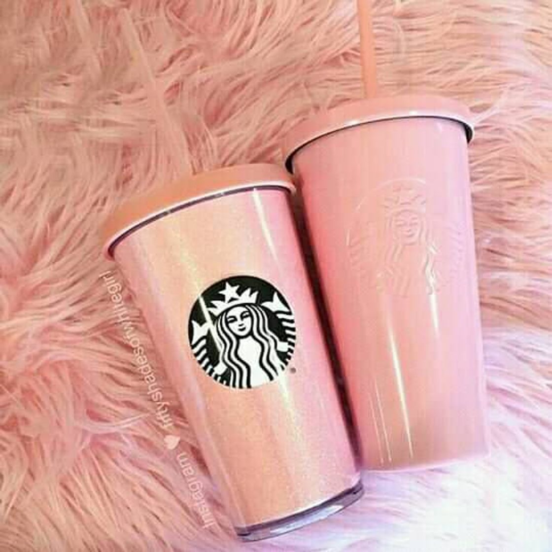 Moda Cup☕