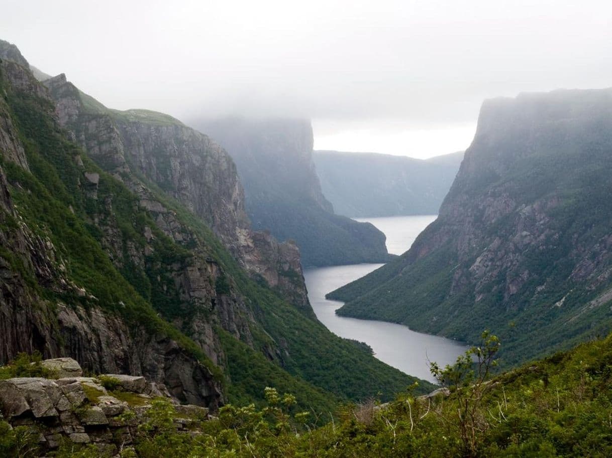 Place Parque Nacional Gros Morne