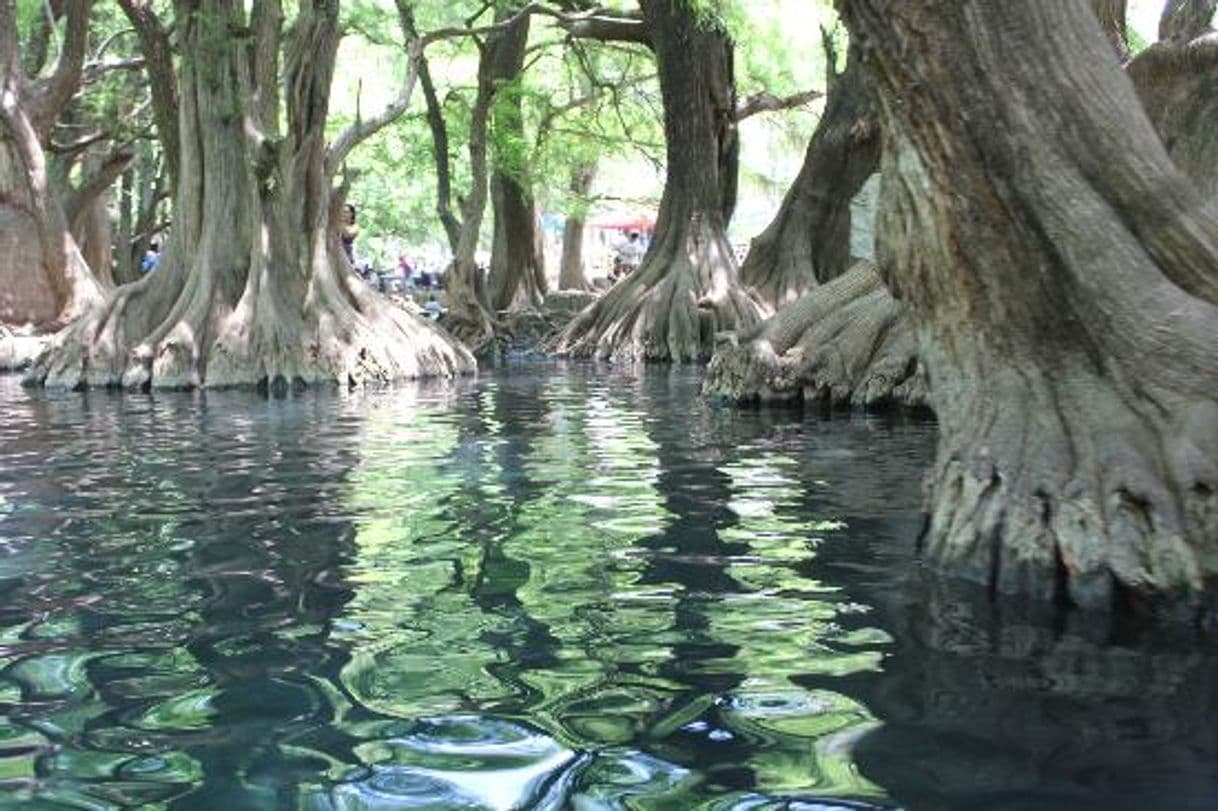 Lugar Camecuaro lake