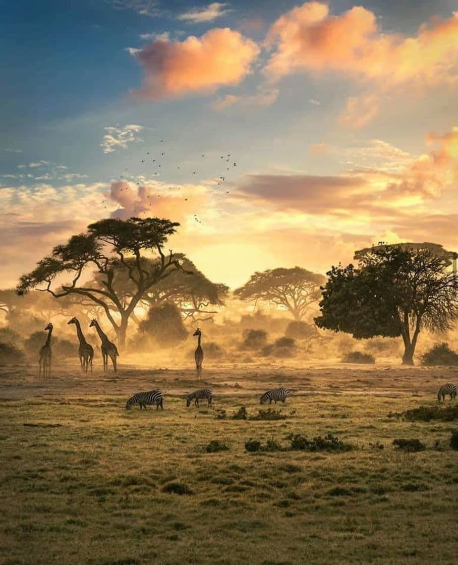 Place Zimbabwe