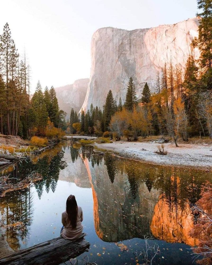 Place Yosemite