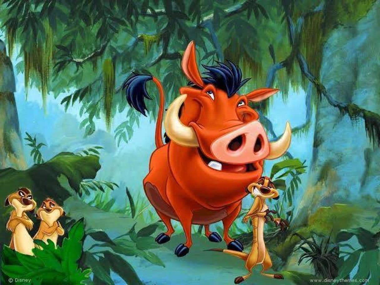 Serie Timon & Pumbaa