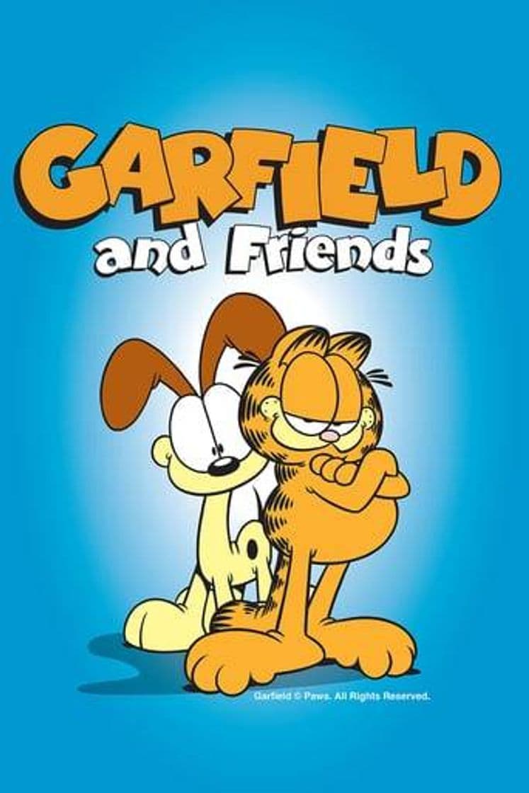 Serie Garfield y sus Amigos 