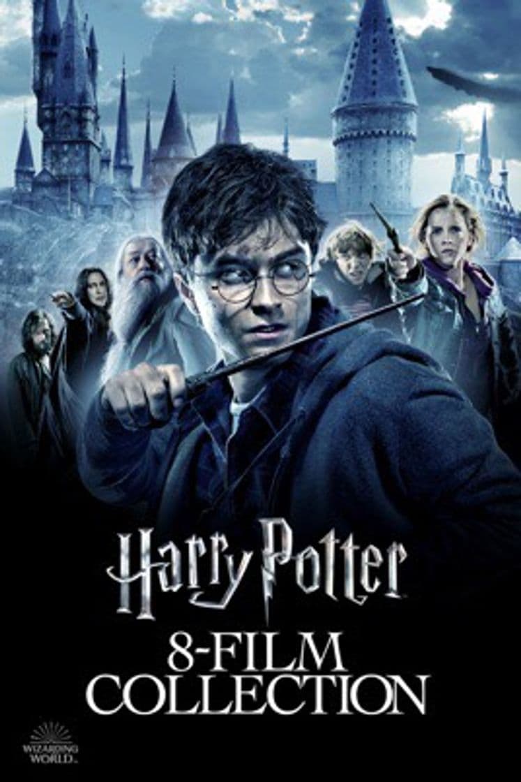 Película Harry Potter Collection -standard ediction (€14,99) 8 DVD