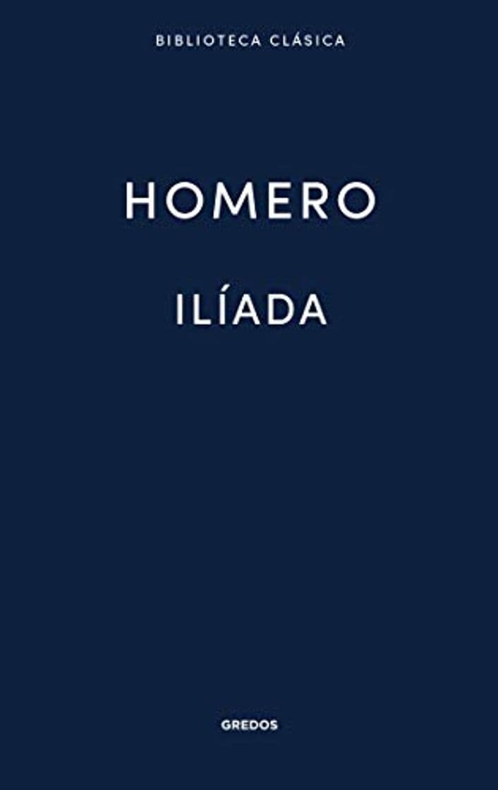 Libro Ilíada