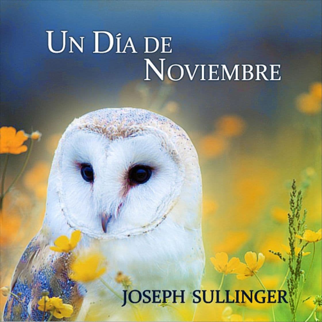 Canción Un Dia de Noviembre