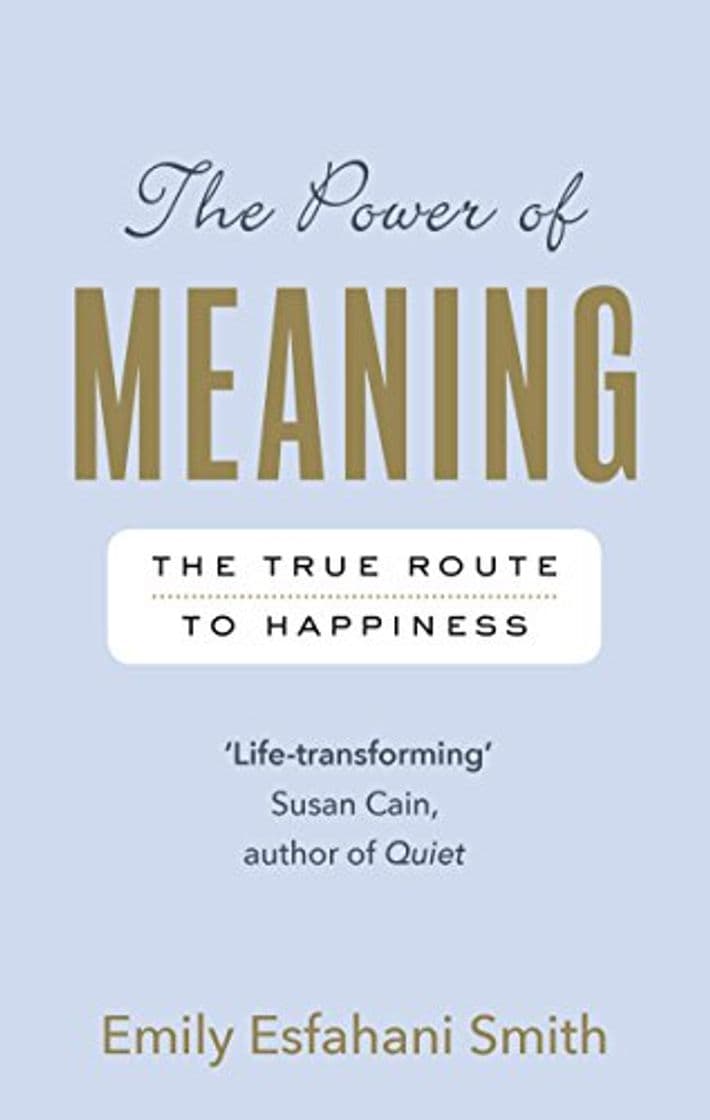 Book The Power Of Meaning: The true route to happiness