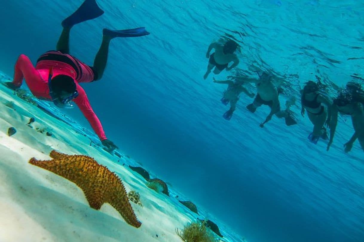 Lugar Snorkel El Cielo Cozumel