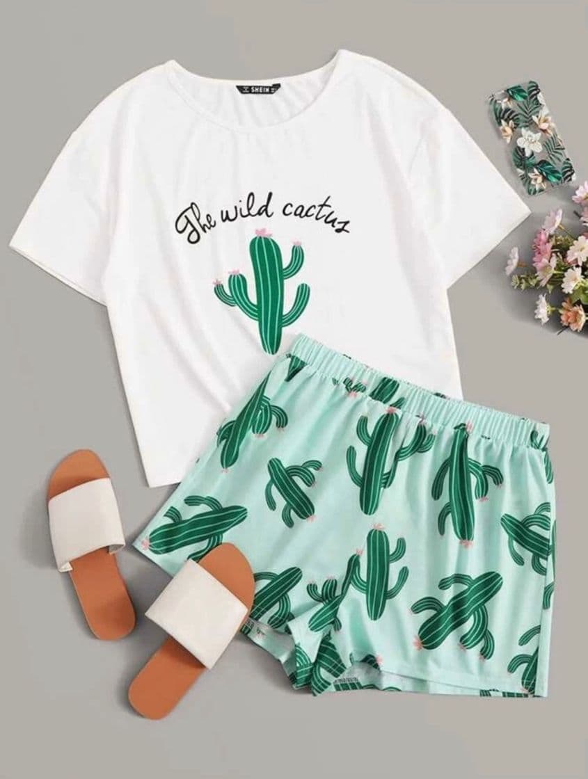 Moda Cactus 🌵 