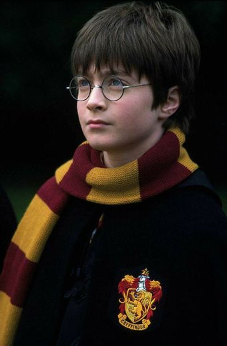 Fashion Harry Potter 