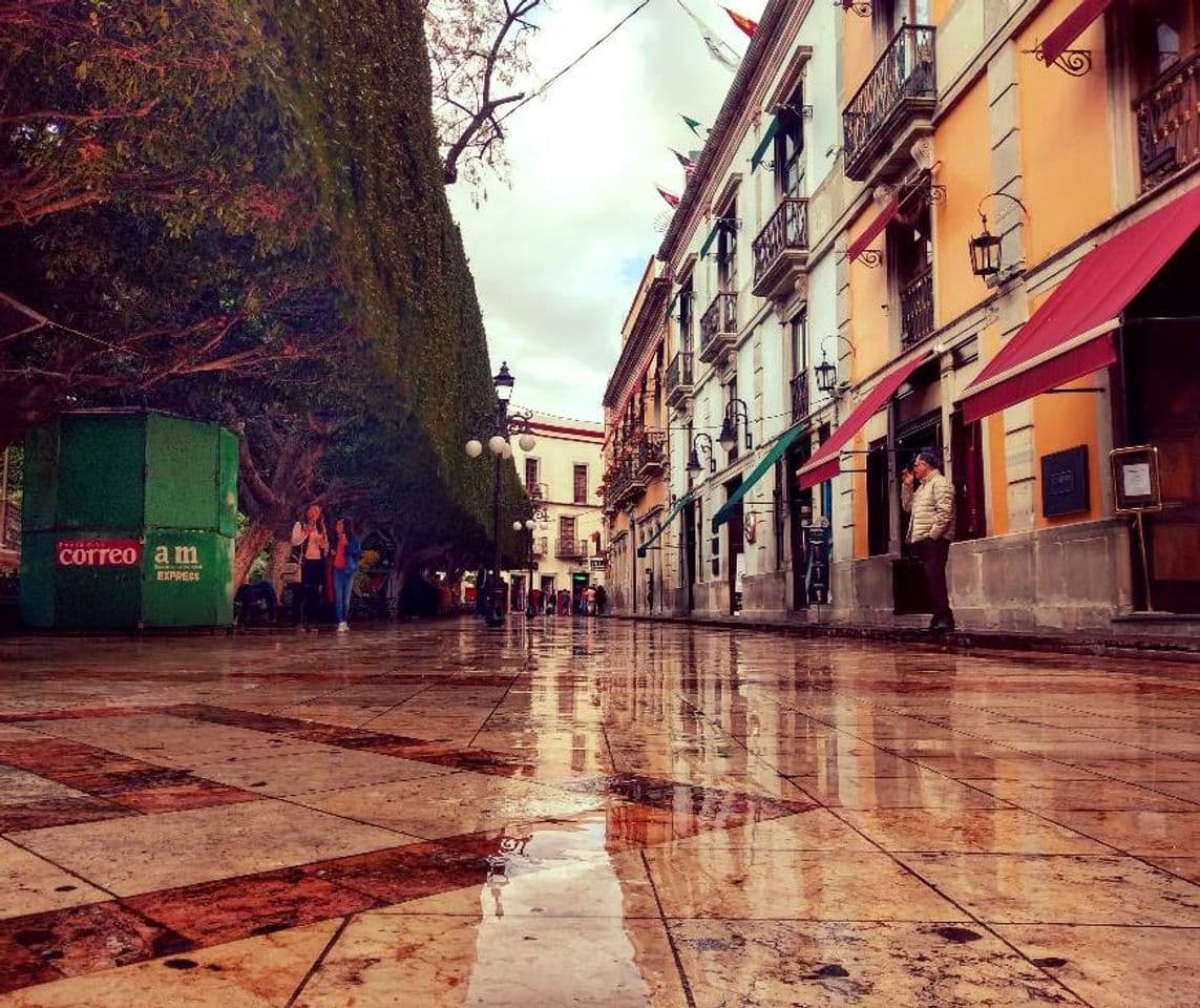 Place Guanajuato Centro