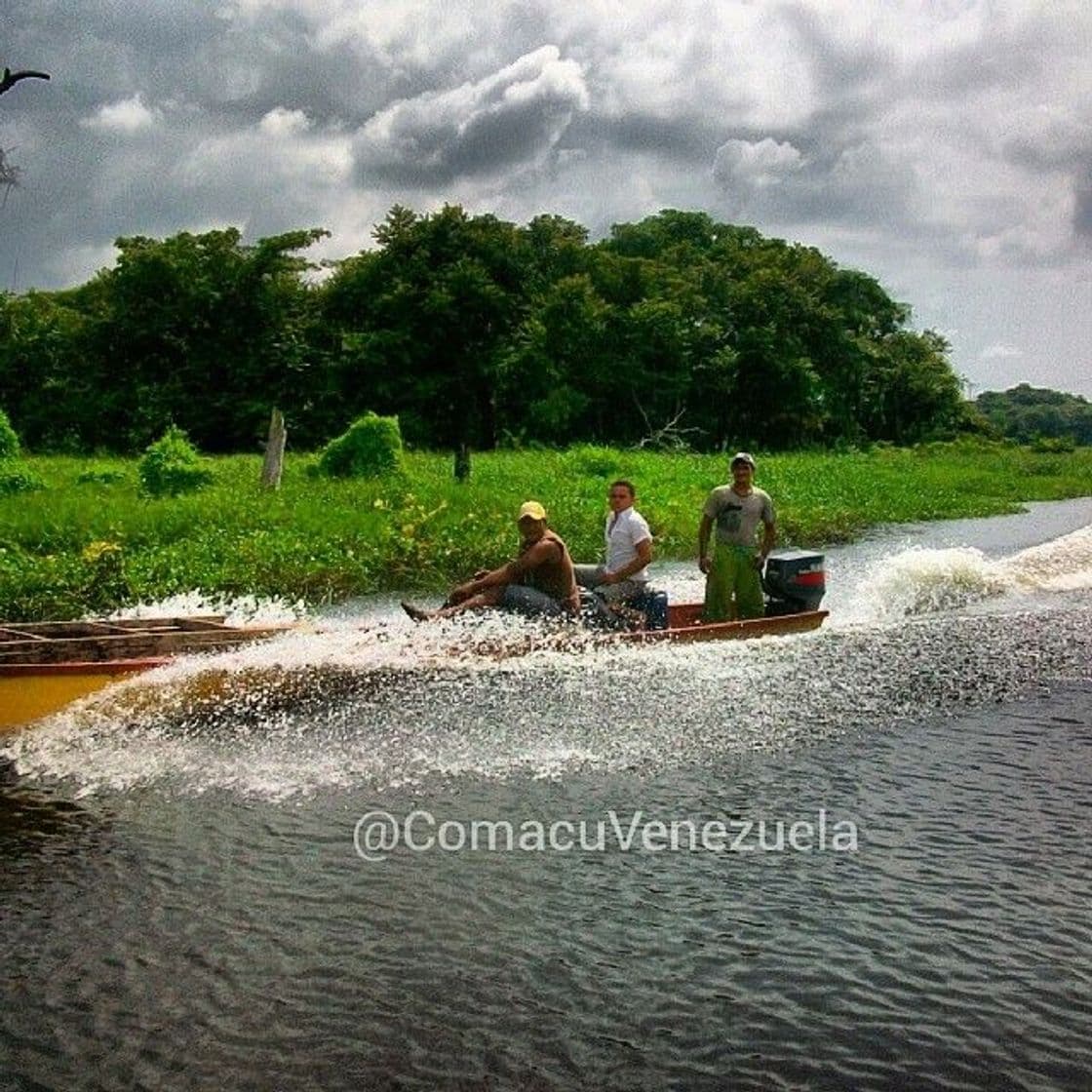 Lugar Camaguán