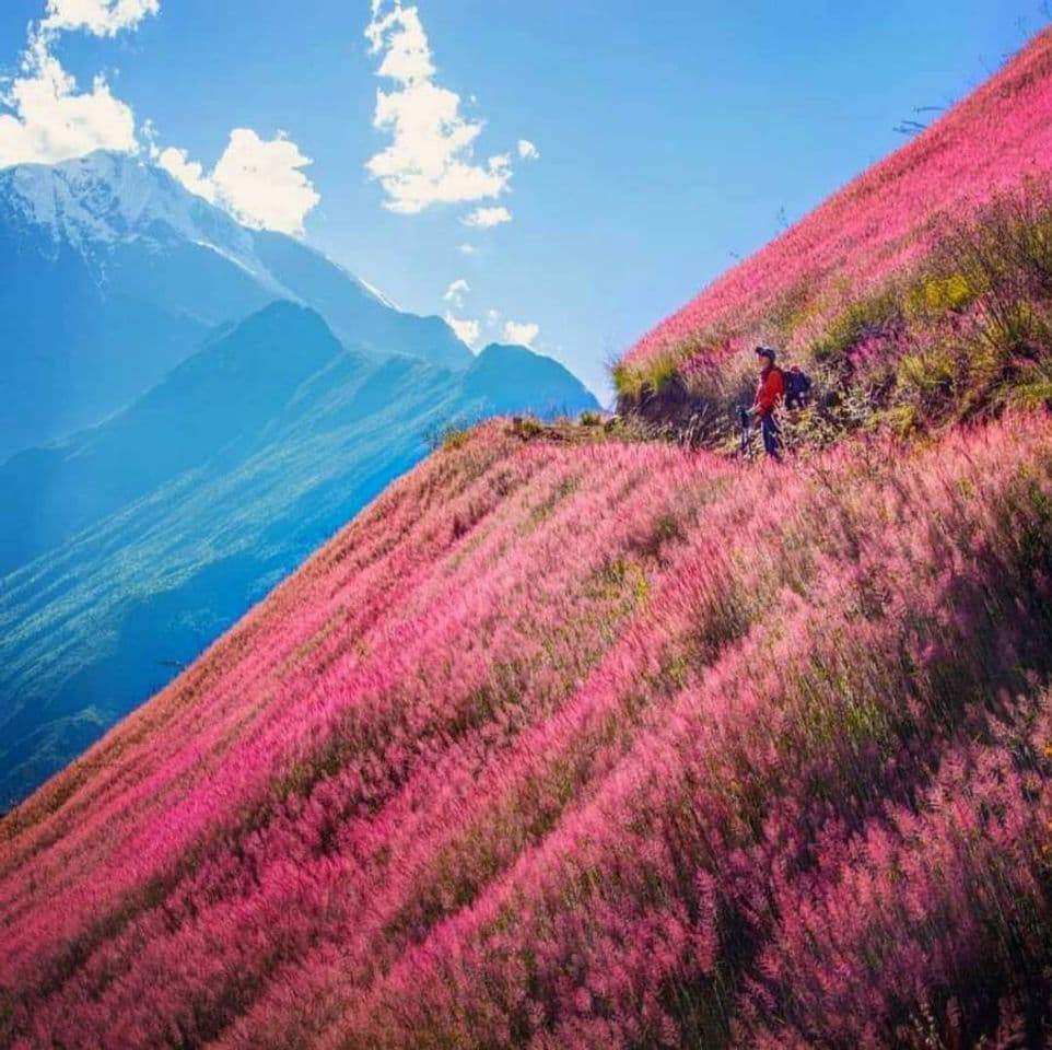 Lugar Choquequirao