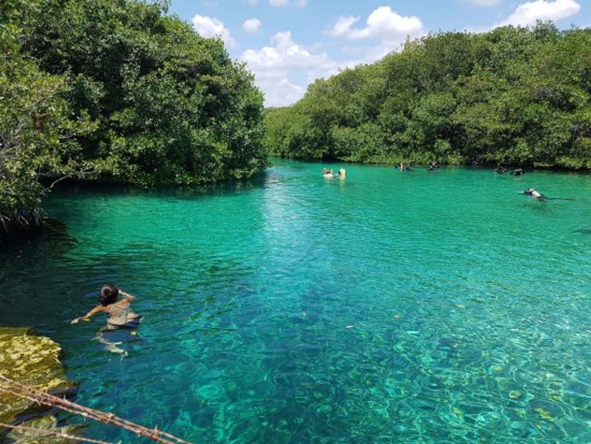 Restaurants Cenote Manatí