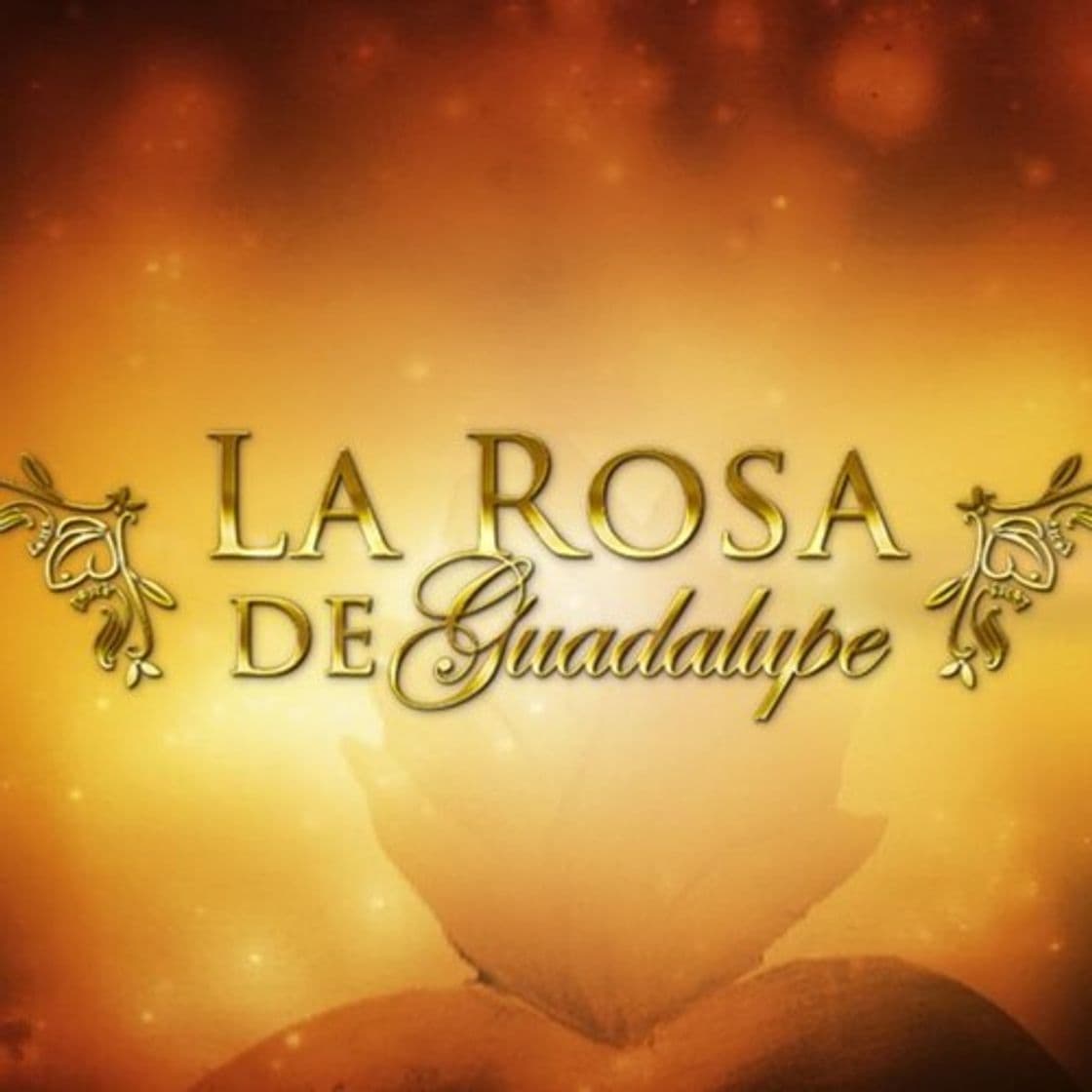 Moda La Rosa de Guadalupe