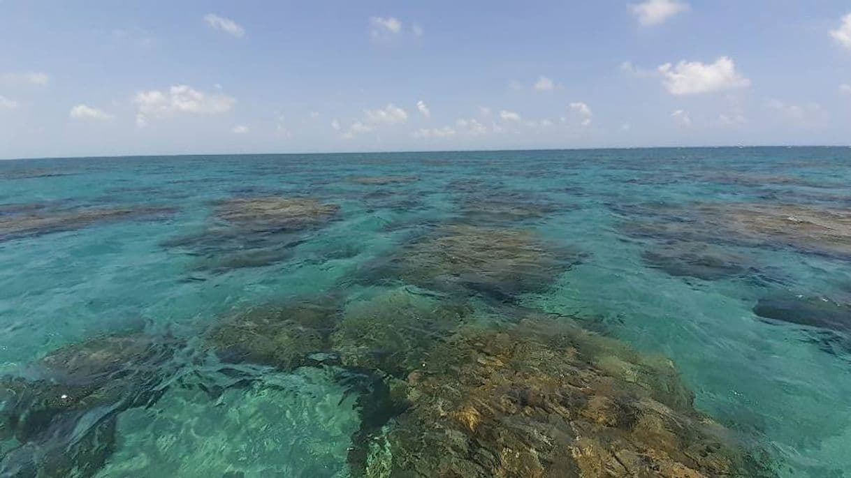 Lugar Praia de Maracajaú