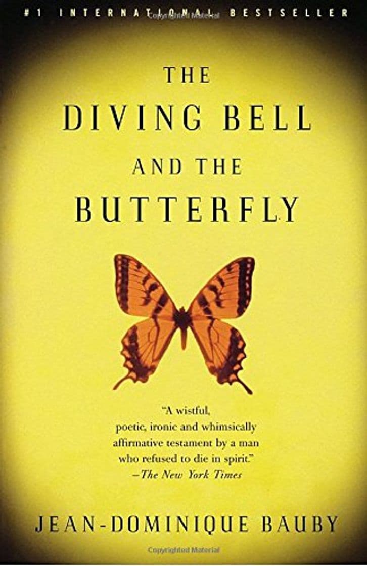 Book The Diving Bell and the Butterfly: A Memoir of Life in Death